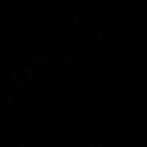 Meet your Posher, Reece